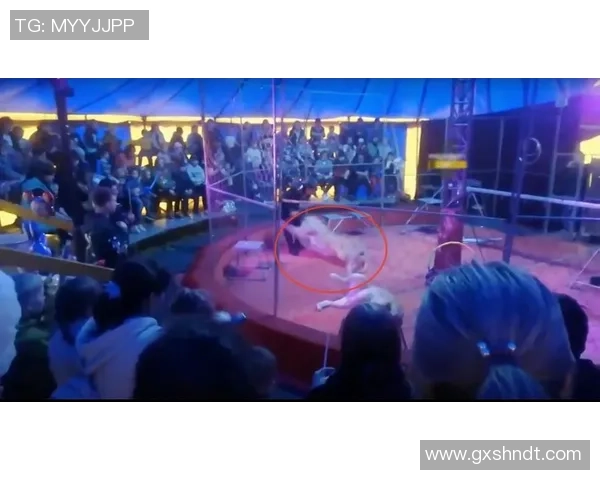 杭州篮球队在转换进攻中的优势与不足分析