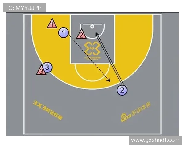 深入分析深圳篮球队独特进攻策略与战术特点的全面解读