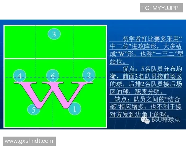 深圳排球队的转换体系与排球战术创新探索分析