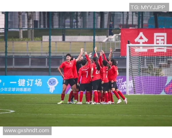 深圳足球队的节奏起伏分析与未来发展展望