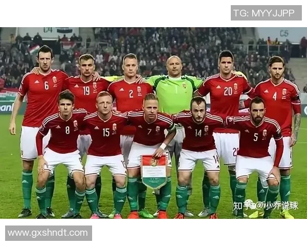 西安足球队实力深度解析与其他球队的全面对比分析