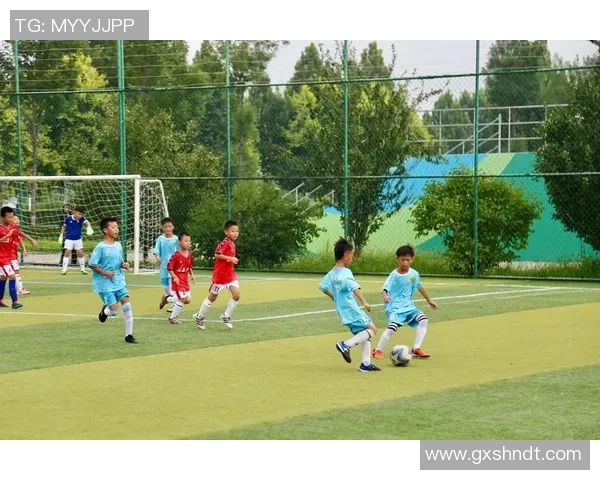 足球明星的下一代:他们的儿子们在绿茵场上的未来与梦想 足球明星的下一代:他们的儿子们在绿茵场上的未来与梦想