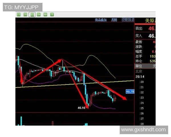 独家分析：杭州羽毛球队的节奏对比